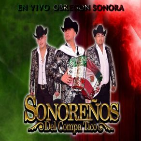 Download track Amor A Primera Vista (En Vivo) Sonoreños Del Compa Tico