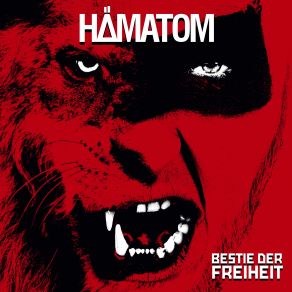 Download track Zeit Fur Neue Hymnen Hämatom, Нämаtоm