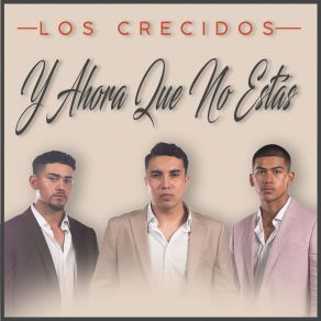 Download track No Te Superé Los Crecidos