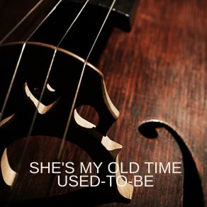 Download track She Had To Let Me Down T - Bone Walker