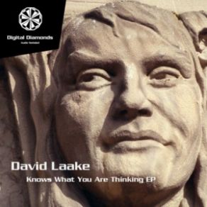 Download track Knows What You Are Thinking (Original Mix) David Laake