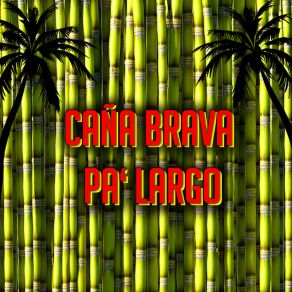 Download track Party Caña (DJ Rafy Melendez Mix) Caña Brava