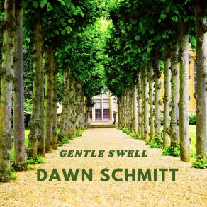 Download track Gentle Swell Dawn Schmitt