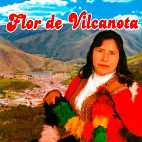 Download track Iglesia Puncupi Flor De Vilcanota