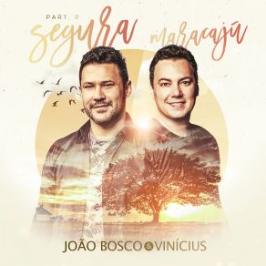 Download track Magia E Mistério Quero Provar Que Te Amo João Bosco, Vinícius