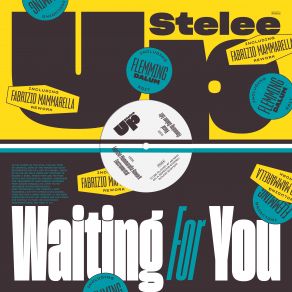 Download track Waiting For You (Flemming Dalum Edit) Stelee Up