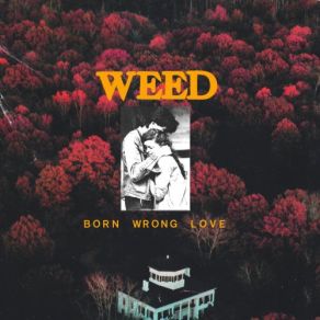 Download track Promised Rate Weed