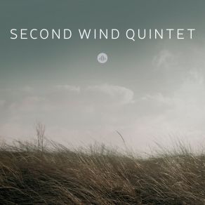 Download track Too Kind Second Wind Quintet