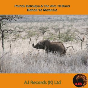 Download track Bwana Na Bi Harusi Afro 70 Band