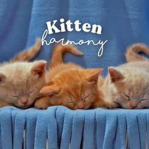 Download track Zen Music For A Kitten Music For Cats Peace