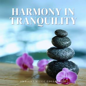 Download track Tranquil Whispers Ambient Music Collective