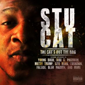 Download track Stuck In Between Stu Cat