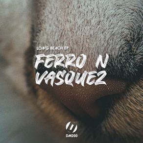 Download track Ultrasonic (Original Mix) Ferro 'N Vasquez