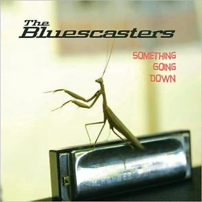 Download track Something Going Down The Bluescasters