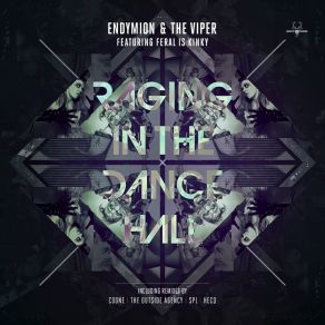 Download track Raging In The Dancehall (Original Mix) The Viper, Endymion, FERAL Is KINKY