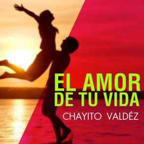 Download track Al Ver Que Te Vas Chayito Valdez