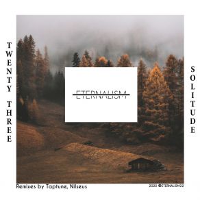 Download track Solitude (Nilseus Remix) Twenty ThreeNilseus