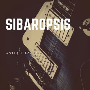 Download track I Got Your Advantages Sibaropsis