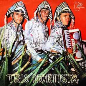 Download track Quem Espera Sempre Alcança Trio Nortista