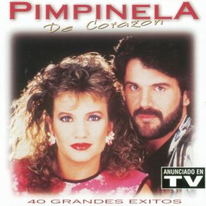 Download track Hay Amores... Y Amores Pimpinela