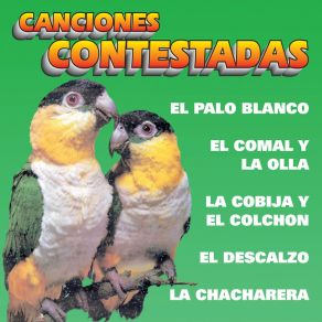 Download track La Chacharera Halcones