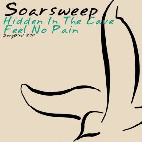 Download track Feel No Pain Soarsweep