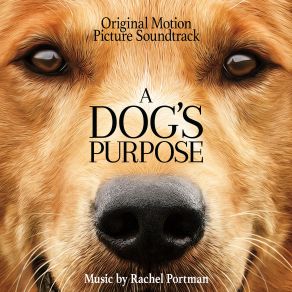 Download track A Dog's Purpose Rachel Portman