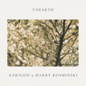 Download track Unearth Aarigod, Harry Kosminski