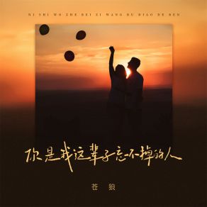 Download track 你是我这辈子忘不掉的人 (Dj阿泽版) 苍狼A! Ze