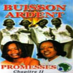 Download track Il N'a Pas Dit Buisson Ardent