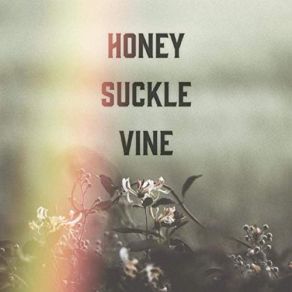 Download track Cold Stare Honey Suckle Vine