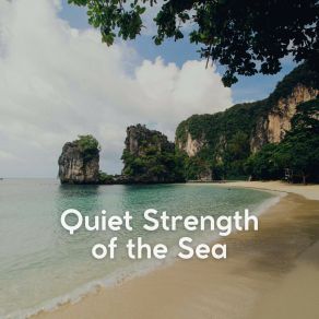 Download track A Serene Vibe While At The Seashore Streaming Waves