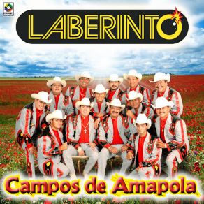 Download track La Coqueta Laberinto