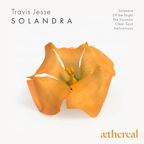 Download track Heliconious (Original Mix) Travis Jesse