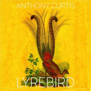 Download track Clouds Anthony Curtis