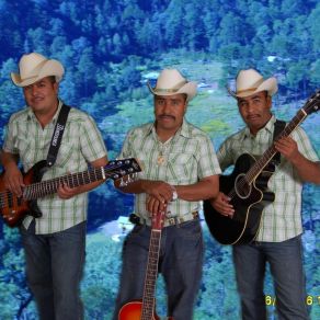 Download track Que Bonito Los Dos Plebes De La Sierra