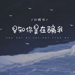 Download track 早知你是在骗我 (伴奏版) DJ辉仔