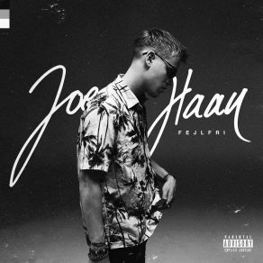 Download track Fejlfri Joe Haan