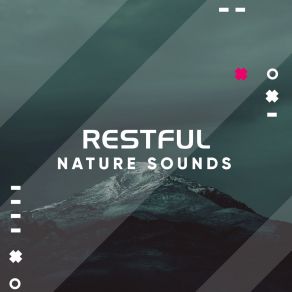 Download track Gentle Ocean Birds Play Water AmbienceNature Of, Pro Sounds, Sea Ambience