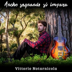 Download track Passeggiata Notturna (Instrumental) Vittorio NotarnicolaΟΡΓΑΝΙΚΟ