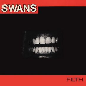 Download track Loop 33 Swans