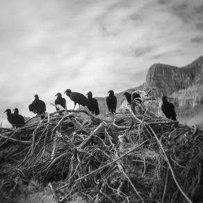 Download track Night Falls On Heath Canyon Startle The Heavens