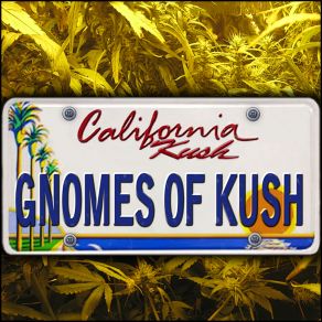 Download track Cosmic Blank Spot Gnomes Of Kush