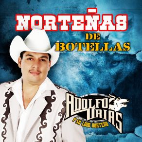 Download track Los Dos Menonitas Adolfo Urias Y Su Lobo Norteño