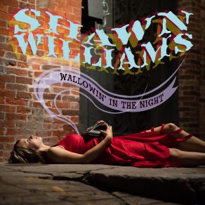 Download track What'd I Do Wrong Shawn Williams