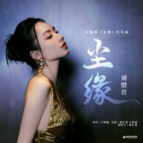 Download track 尘缘（《尘缘》影视剧片头曲） (伴奏版) Liu Xi Jun