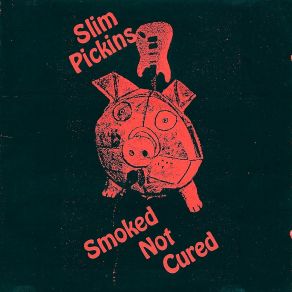 Download track I Can't Take Any More The Slim Pickins