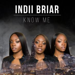 Download track Let Go Indii Briar