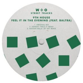 Download track Feel It In The Evening (Original Mix) Baltra, 9th House