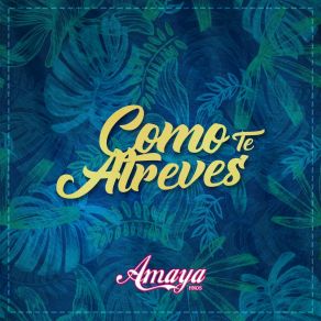 Download track Tres Cruces Amaya Hnos